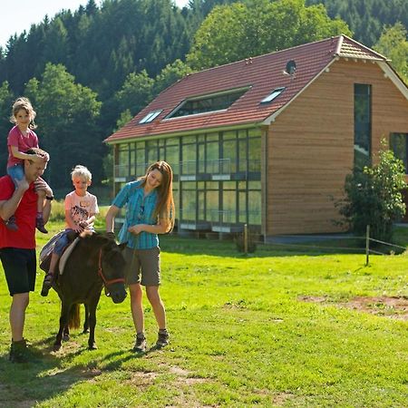 Landhotel Weihermuehle Thaleischweiler-Froschen المظهر الخارجي الصورة
