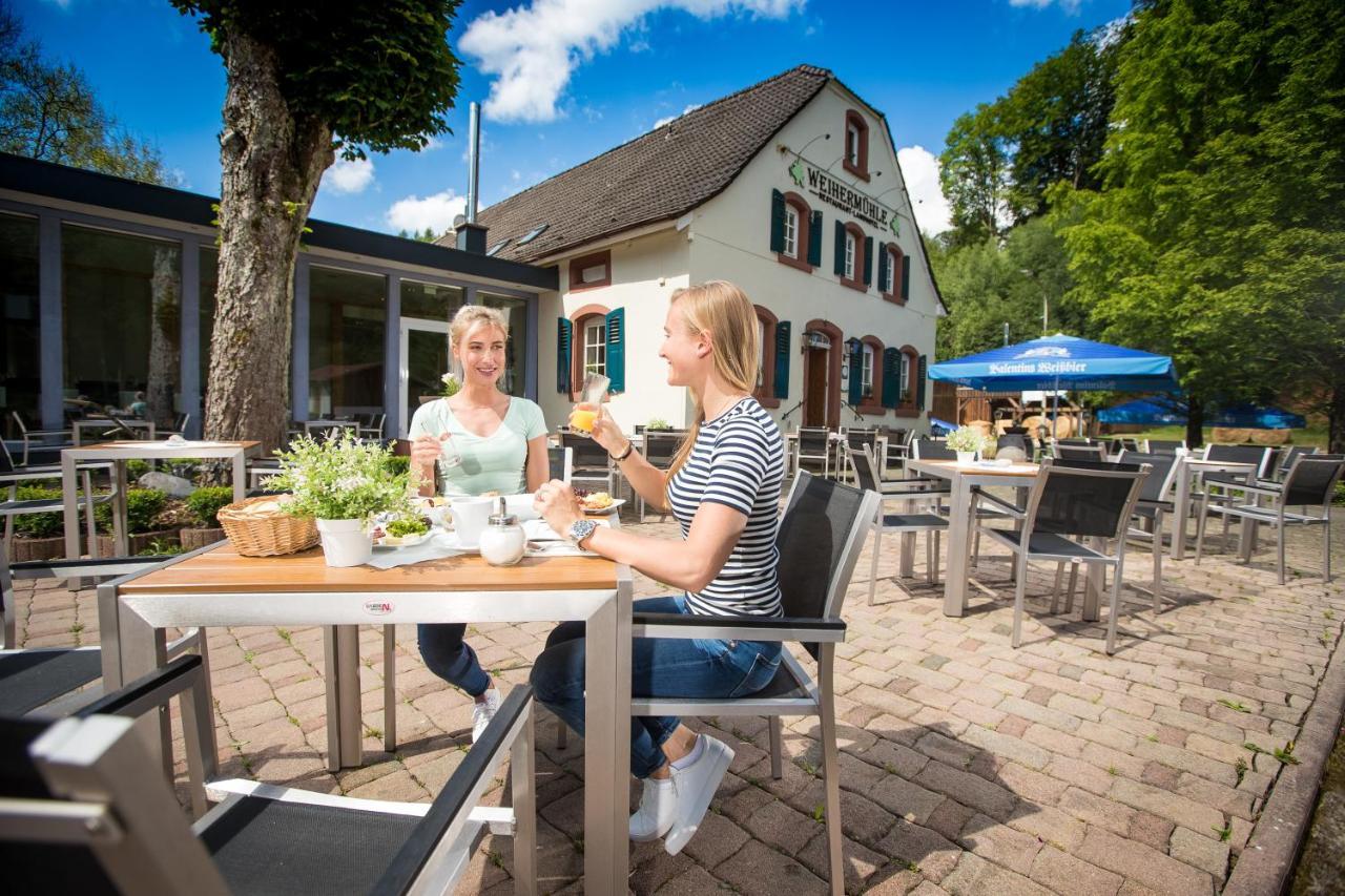 Landhotel Weihermuehle Thaleischweiler-Froschen المظهر الخارجي الصورة