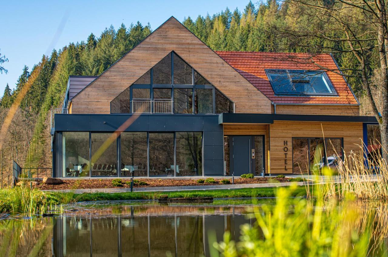 Landhotel Weihermuehle Thaleischweiler-Froschen المظهر الخارجي الصورة