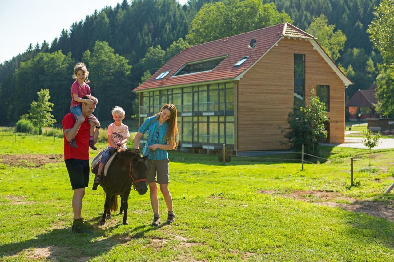 Landhotel Weihermuehle Thaleischweiler-Froschen المظهر الخارجي الصورة